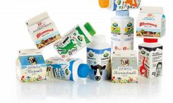 Beverage Cartons with Dairy Products before Dewatering in Screw Compactor