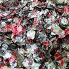 Separation of aluminum cans